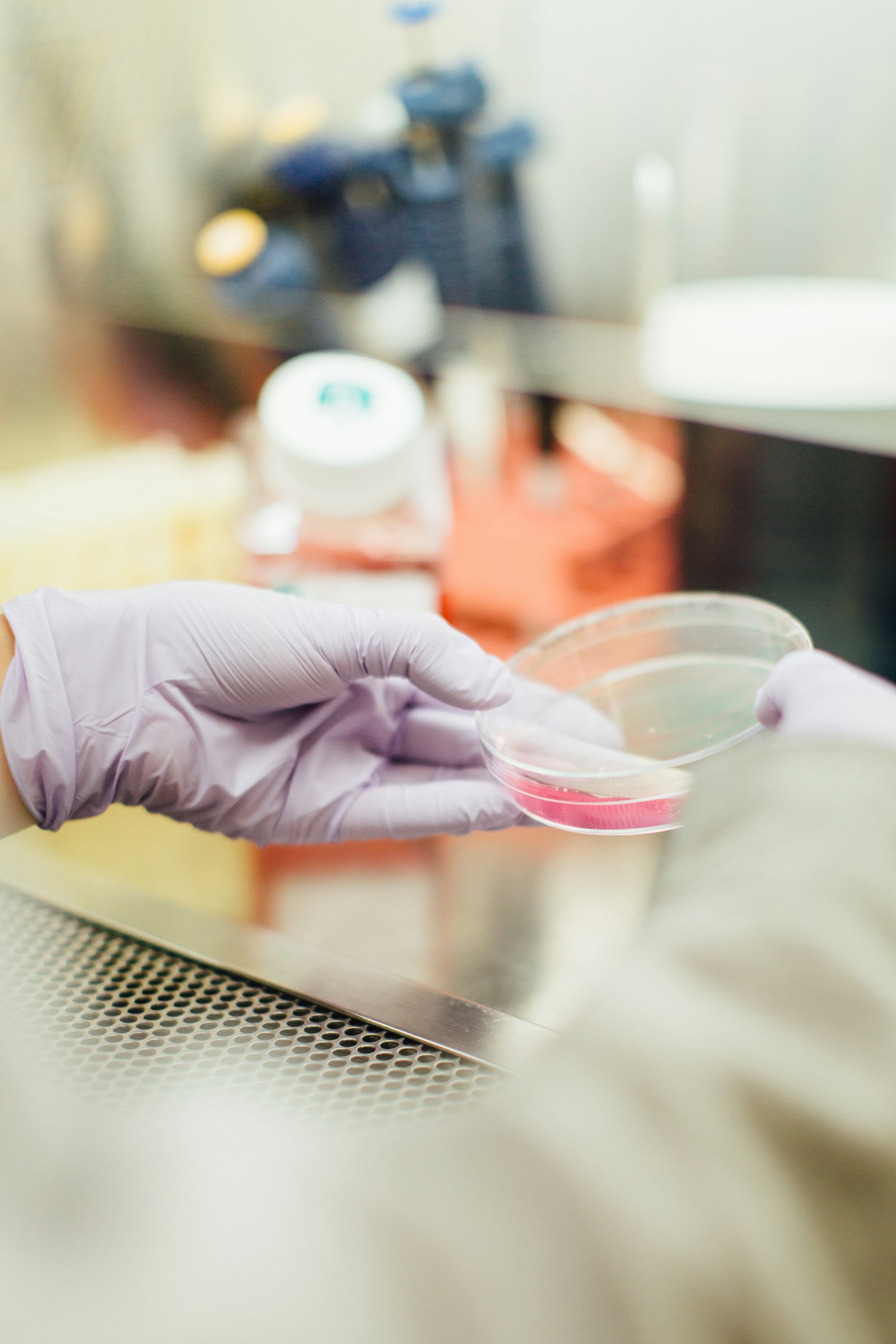 The 2026 landscape for internationally trained dentists — five destinations, five regulators